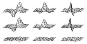 2DGabor wavelet filter