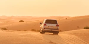 UAE Number Plates Accurate Detection