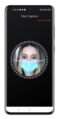 Face Recognition SDK 9 attr_mask.png